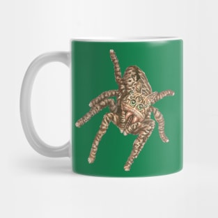 Jumping Spider Tabby Mug